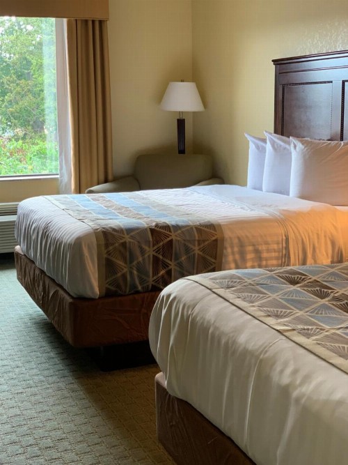 Ambassador Inn & Suites - image 18