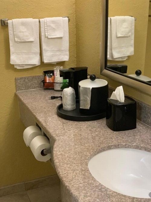 Ambassador Inn & Suites - image 24