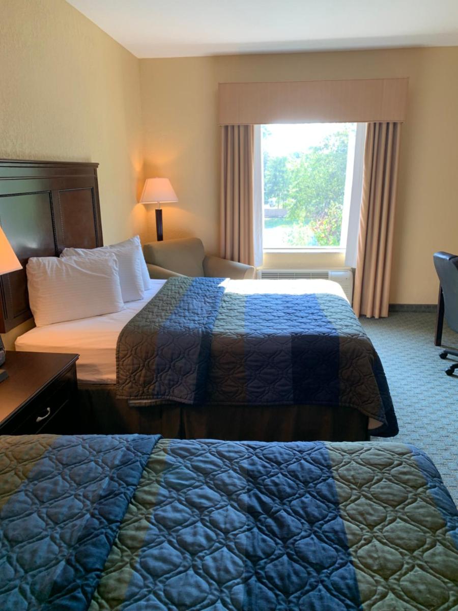 Ambassador Inn & Suites - image 7