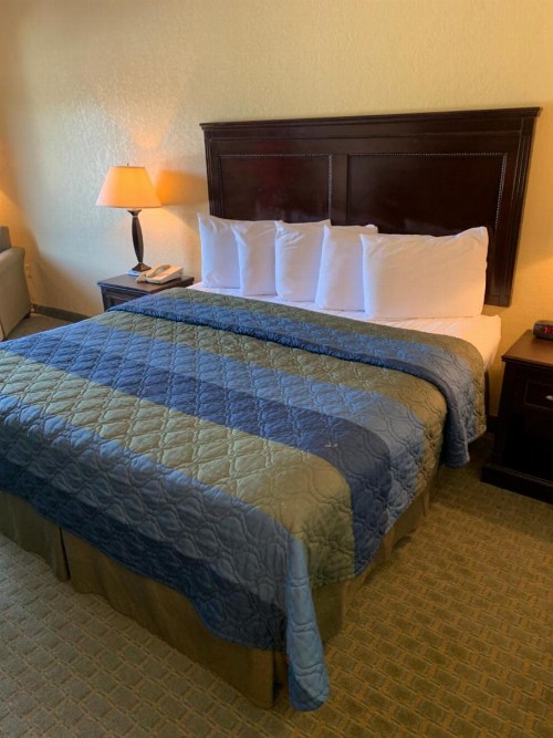 Ambassador Inn & Suites - image 8