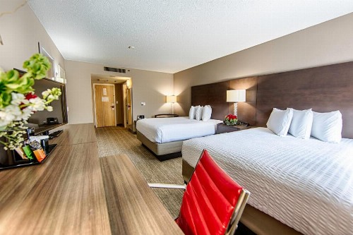 Hotel Capstone - image 21