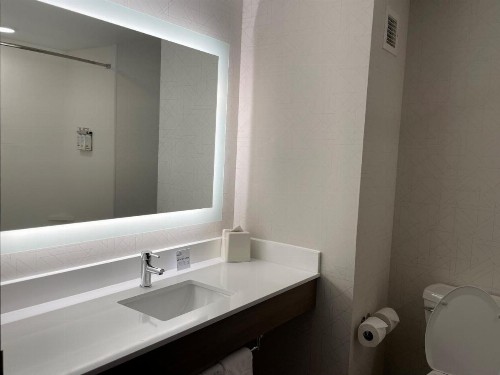 Holiday Inn Express & Suites - Tuscaloosa-University an IHG Hotel - image 22