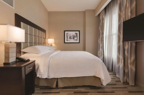 Embassy Suites Tuscaloosa Alabama Downtown - image 5