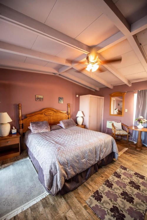 Harmony Motel - image 19
