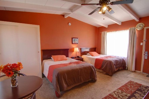 Harmony Motel - image 48