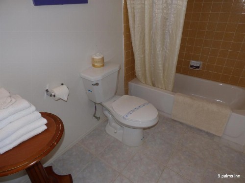 9 Palms Inn - image 38