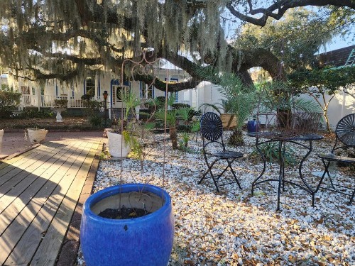 Tybee Island Inn Bed & Breakfast - image 22