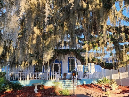 Tybee Island Inn Bed & Breakfast - image 41
