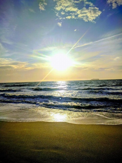Hotel Tybee - image 13