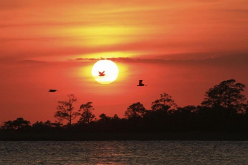 Hotel Tybee - image 20