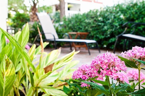 Desoto Beach Gardens