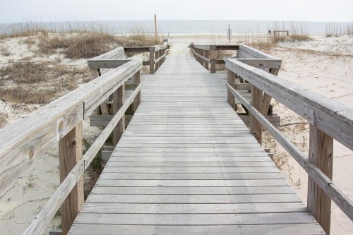Trudy's Treasure - image 38
