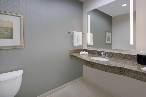 Hilton Garden Inn Tyler - image 25