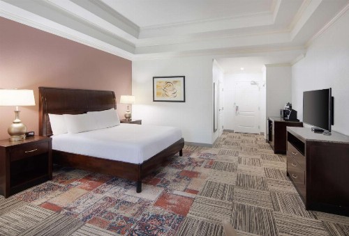 Hilton Garden Inn Tyler - image 43