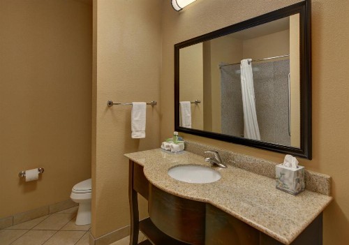 Holiday Inn Express Tyler South an IHG Hotel - image 17