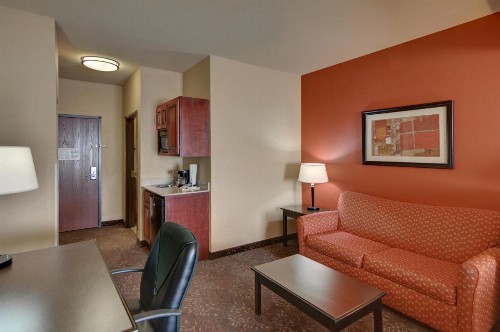Holiday Inn Express Tyler South an IHG Hotel - image 19