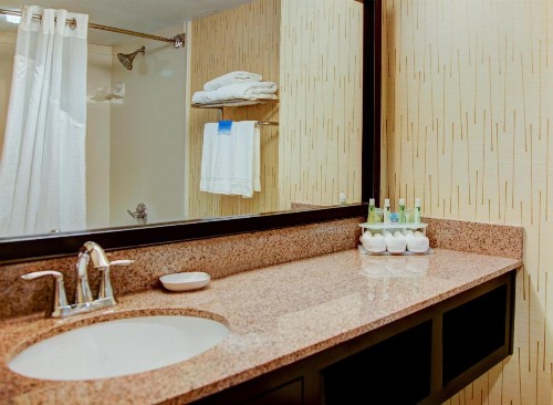 Holiday Inn Express Tyler South an IHG Hotel - image 23