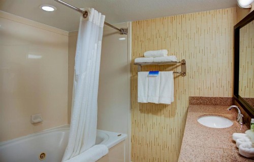Holiday Inn Express Tyler South an IHG Hotel - image 3