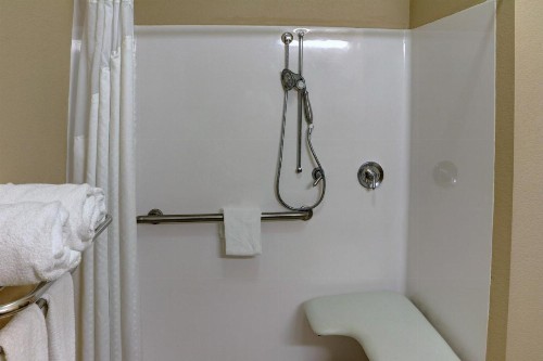 Holiday Inn Express Tyler South an IHG Hotel - image 4