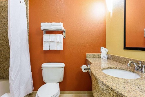 Sleep Inn & Suites Tyler - image 23