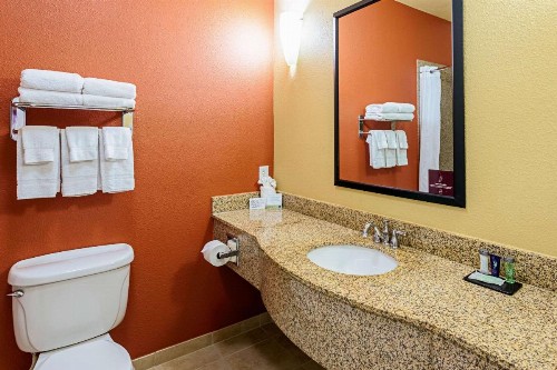 Sleep Inn & Suites Tyler - image 24
