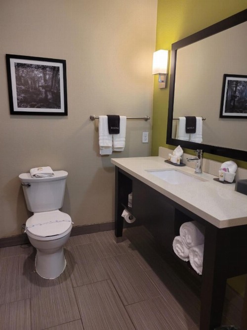 La Quinta by Wyndham Tyler - University Area - image 40