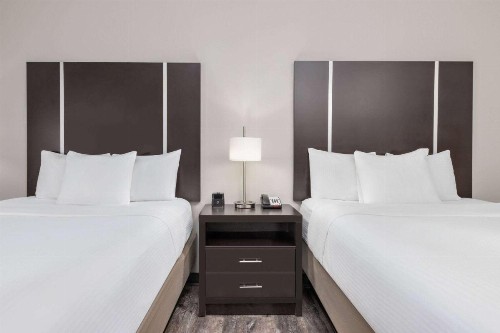 La Quinta by Wyndham Tyler - University Area - image 42