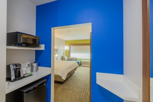 Holiday Inn Express and Suites Lindale - image 48