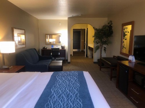 Comfort Inn & Suites Ukiah Mendicino County - image 11