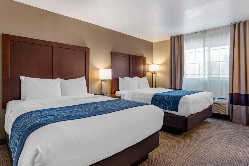 Comfort Inn & Suites Ukiah Mendicino County - image 19