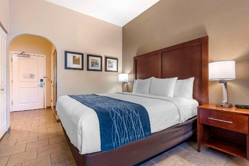 Comfort Inn & Suites Ukiah Mendicino County - image 24