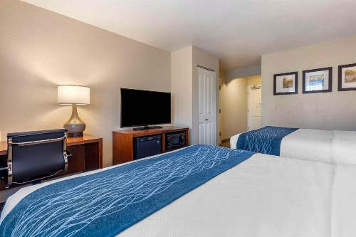 Comfort Inn & Suites Ukiah Mendicino County - image 29