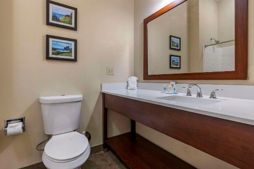 Comfort Inn & Suites Ukiah Mendicino County - image 3