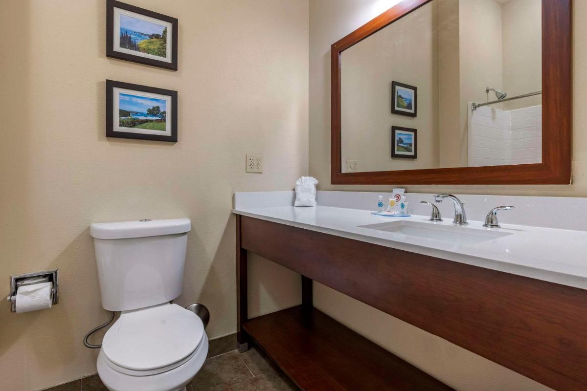 Comfort Inn & Suites Ukiah Mendicino County - image 3