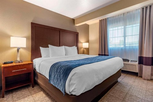 Comfort Inn & Suites Ukiah Mendicino County - image 32