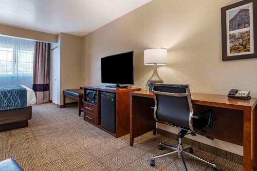 Comfort Inn & Suites Ukiah Mendicino County - image 33