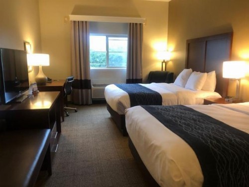 Comfort Inn & Suites Ukiah Mendicino County - image 38