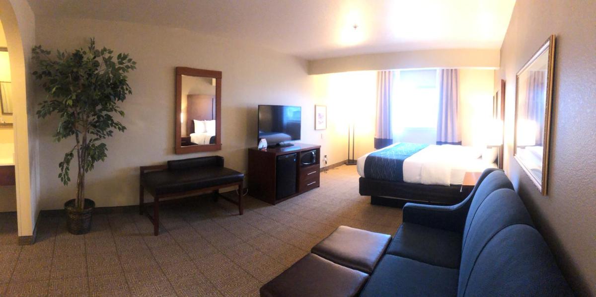 Comfort Inn & Suites Ukiah Mendicino County - image 4