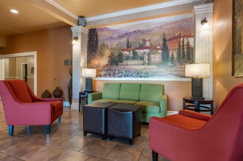 Comfort Inn & Suites Ukiah Mendicino County - image 42