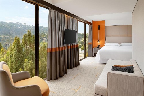 Sheraton Universal - image 36