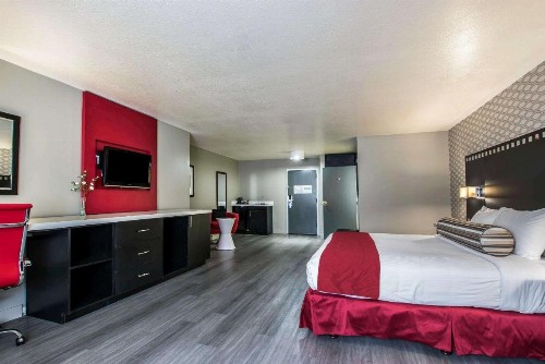 Tilt Hotel Universal/Hollywood Ascend Hotel Collection - image 12