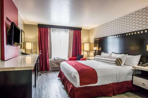 Tilt Hotel Universal/Hollywood Ascend Hotel Collection - image 20