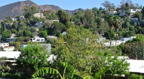 Mini Mansion in Hollywood Hills - image 5