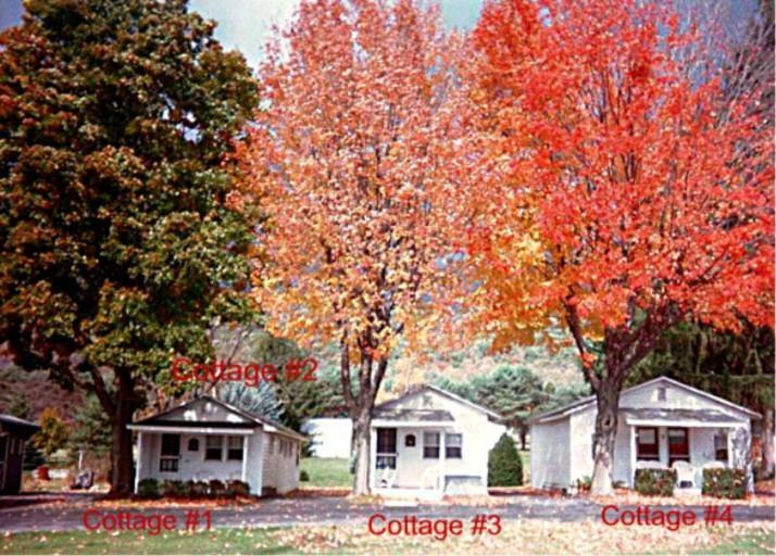 Country Vacation Cottages - image 4