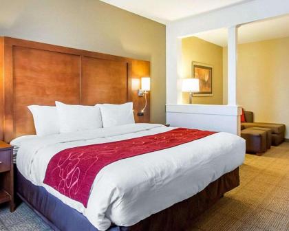 Comfort Suites Abilene - image 15