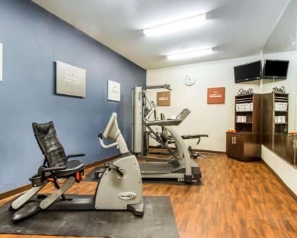 Comfort Suites Abilene - image 2