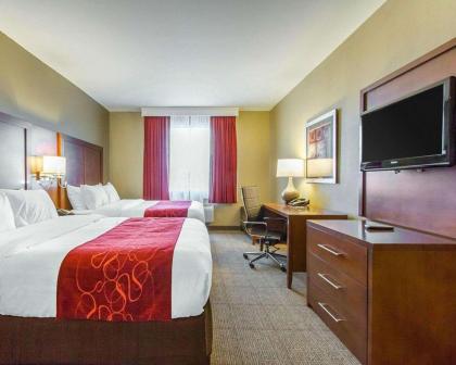 Comfort Suites Abilene - image 4
