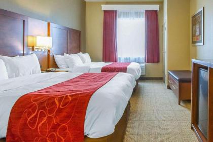 Comfort Suites Abilene - image 5
