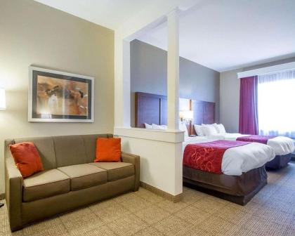 Comfort Suites Abilene - image 7