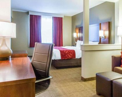 Comfort Suites Abilene - image 9